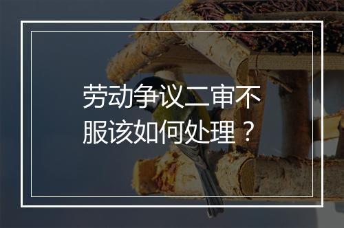 劳动争议二审不服该如何处理？