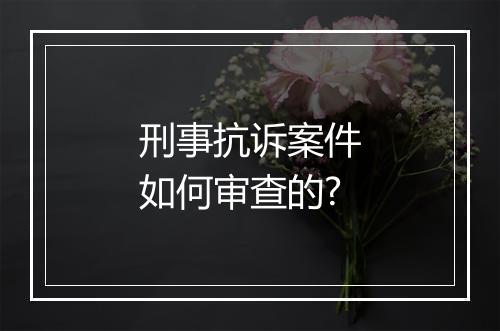刑事抗诉案件如何审查的?