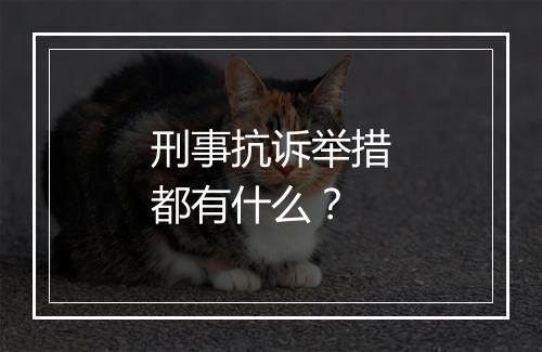 刑事抗诉举措都有什么？