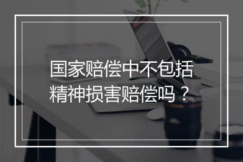 国家赔偿中不包括精神损害赔偿吗？