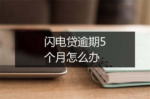 闪电贷逾期5个月怎么办