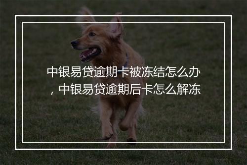 中银易贷逾期卡被冻结怎么办，中银易贷逾期后卡怎么解冻