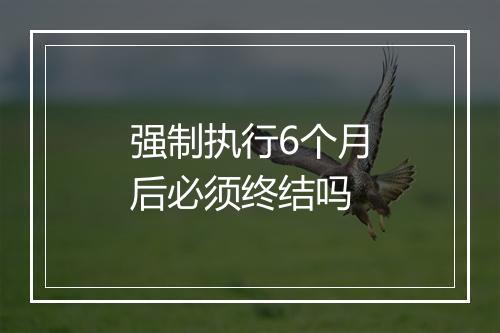 强制执行6个月后必须终结吗