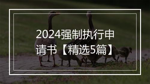 2024强制执行申请书【精选5篇】