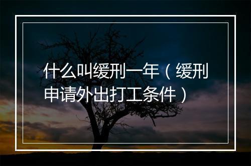 什么叫缓刑一年（缓刑申请外出打工条件）