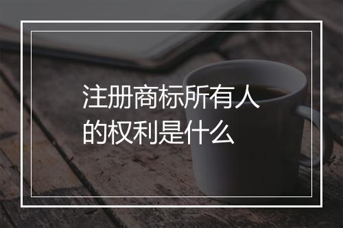 注册商标所有人的权利是什么