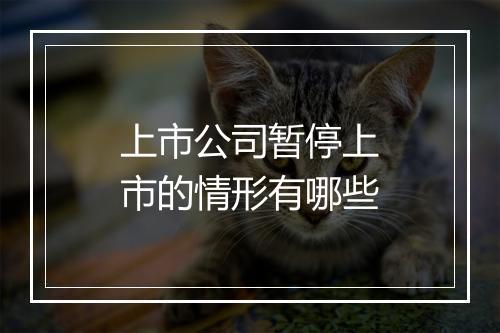 上市公司暂停上市的情形有哪些
