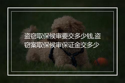 盗窃取保候审要交多少钱,盗窃案取保候审保证金交多少