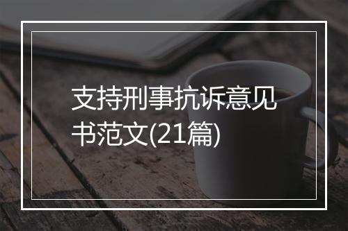 支持刑事抗诉意见书范文(21篇)