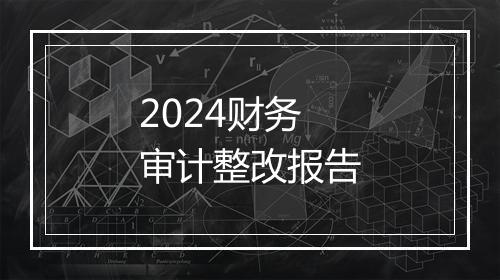 2024财务审计整改报告