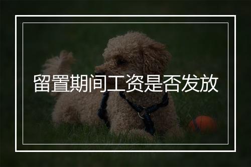 留置期间工资是否发放