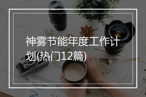 神雾节能年度工作计划(热门12篇)