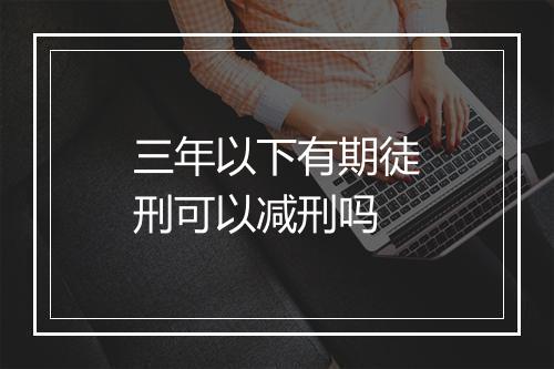 三年以下有期徒刑可以减刑吗