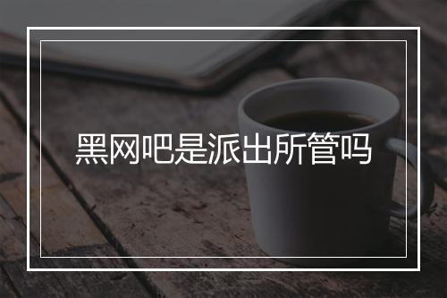 黑网吧是派出所管吗