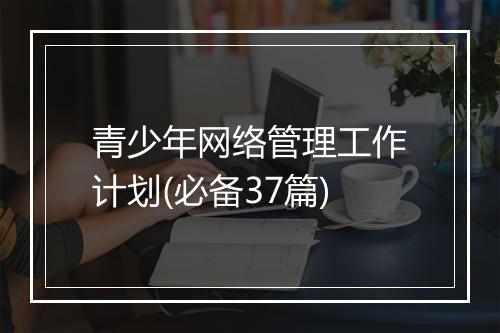青少年网络管理工作计划(必备37篇)