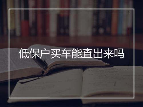低保户买车能查出来吗