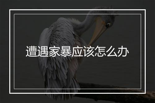 遭遇家暴应该怎么办