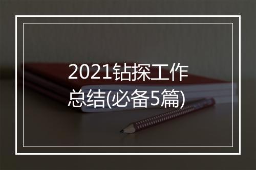 2021钻探工作总结(必备5篇)