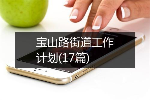 宝山路街道工作计划(17篇)
