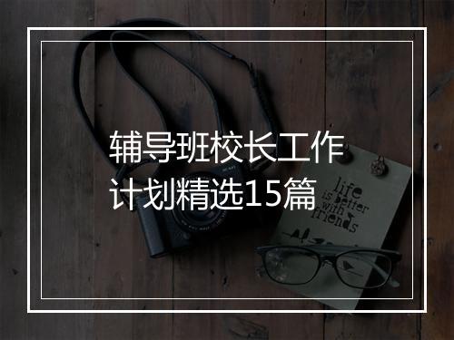辅导班校长工作计划精选15篇