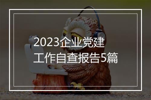 2023企业党建工作自查报告5篇