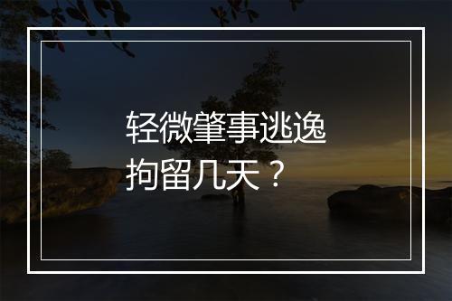 轻微肇事逃逸拘留几天？