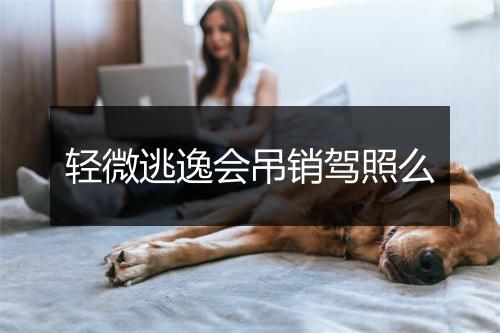 轻微逃逸会吊销驾照么