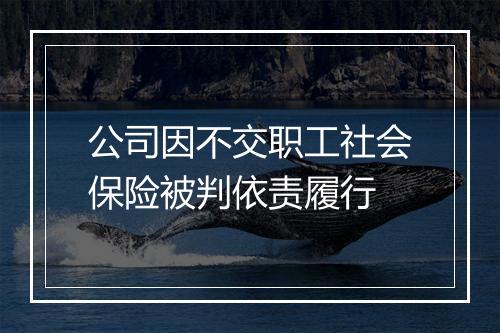 公司因不交职工社会保险被判依责履行