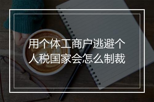 用个体工商户逃避个人税国家会怎么制裁