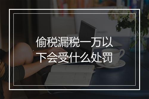 偷税漏税一万以下会受什么处罚