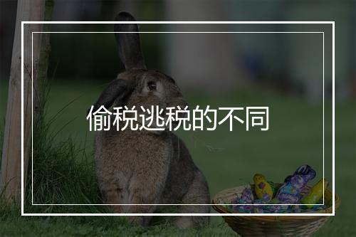 偷税逃税的不同