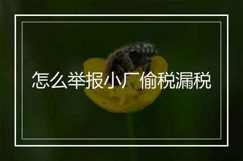 怎么举报小厂偷税漏税