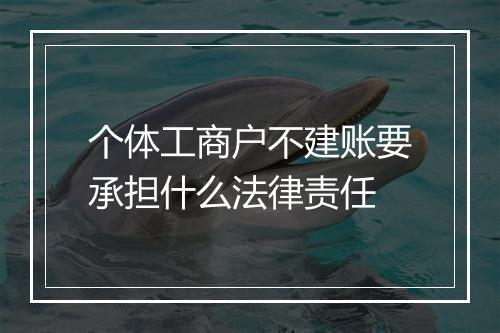 个体工商户不建账要承担什么法律责任