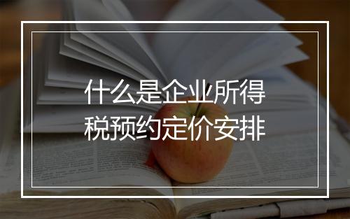 什么是企业所得税预约定价安排