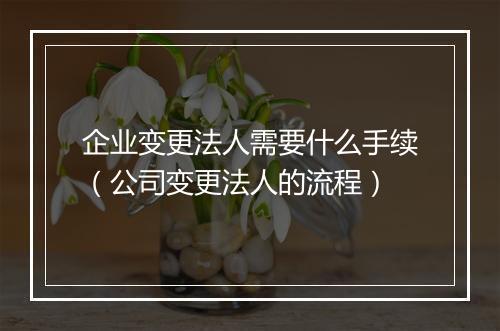 企业变更法人需要什么手续（公司变更法人的流程）