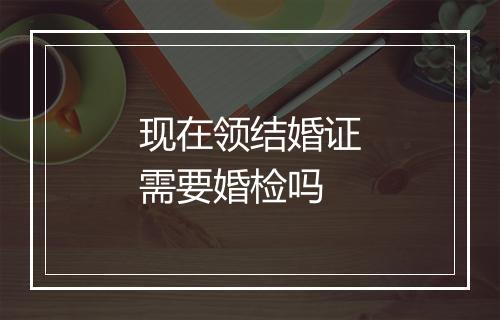 现在领结婚证需要婚检吗