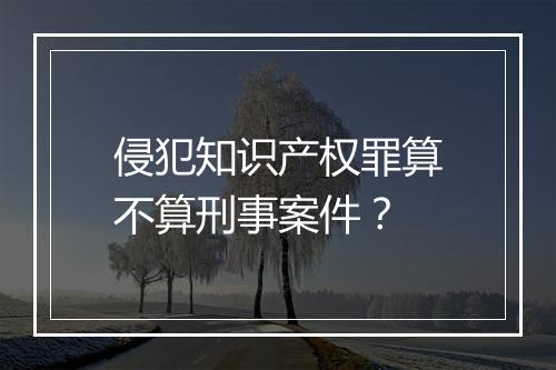 侵犯知识产权罪算不算刑事案件？