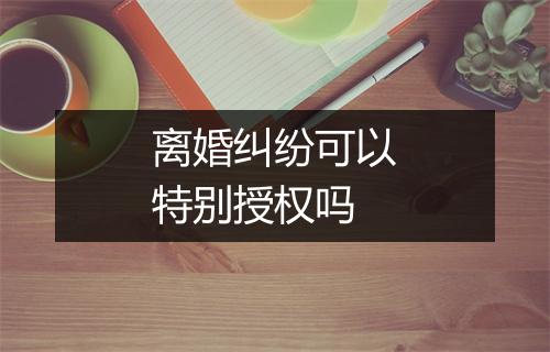 离婚纠纷可以特别授权吗