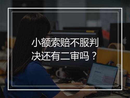 小额索赔不服判决还有二审吗？