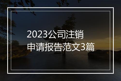 2023公司注销申请报告范文3篇