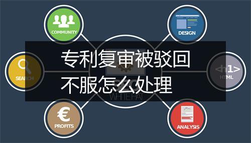 专利复审被驳回不服怎么处理