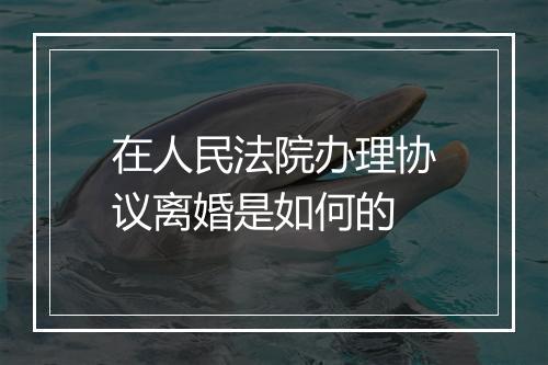 在人民法院办理协议离婚是如何的