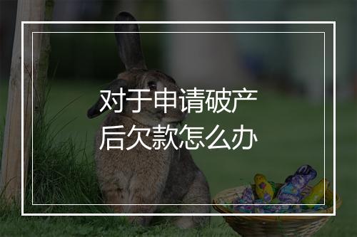 对于申请破产后欠款怎么办