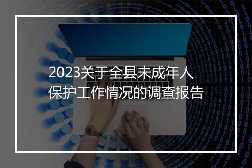 2023关于全县未成年人保护工作情况的调查报告