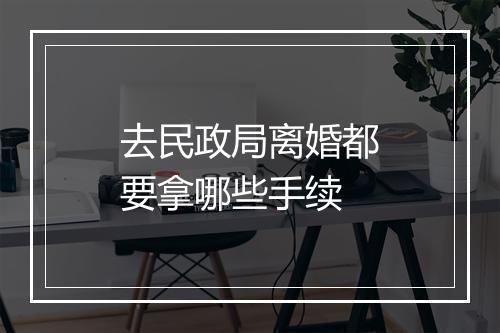 去民政局离婚都要拿哪些手续