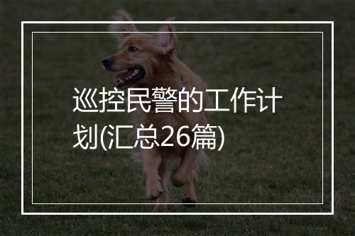 巡控民警的工作计划(汇总26篇)