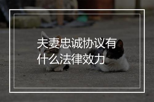 夫妻忠诚协议有什么法律效力