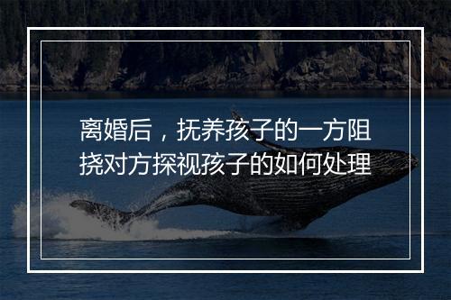 离婚后，抚养孩子的一方阻挠对方探视孩子的如何处理
