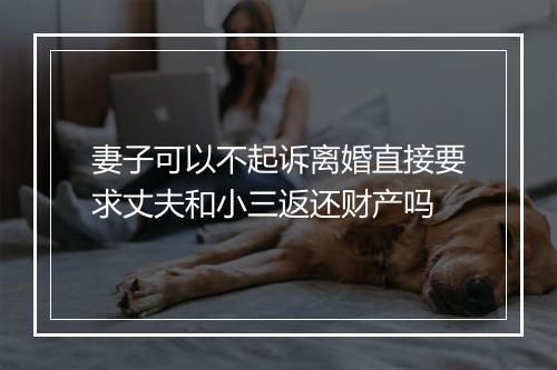 妻子可以不起诉离婚直接要求丈夫和小三返还财产吗