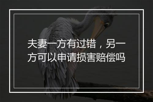 夫妻一方有过错，另一方可以申请损害赔偿吗